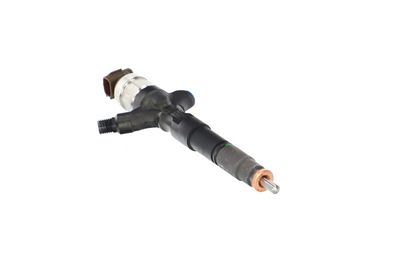INJECTOR REMANTE 002003002073R 51