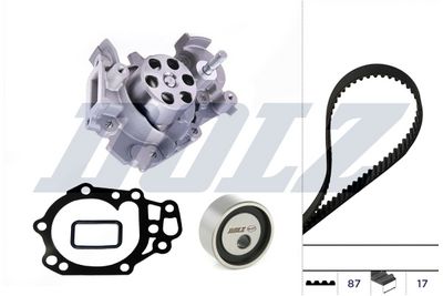 Vandens siurblio ir paskirstymo diržo komplektas
