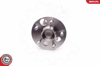 Wheel Bearing Kit 29SKV103