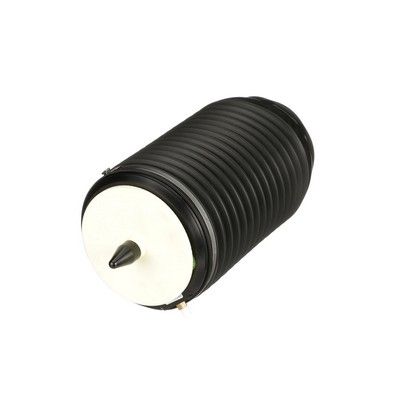 LUFTFEDER FAHRWERK Arnott A3295 36