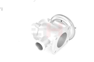 SUPAPA EGR GH GH731560 40