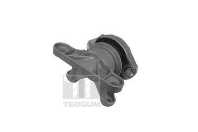 SUPORT MOTOR TEDGUM 00058910 2
