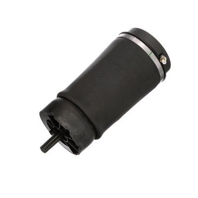 LUFTFEDER FAHRWERK Arnott A2831 73