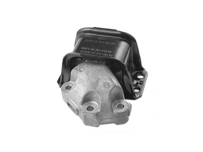 окачване, двигател A.Z. Meisterteile AZMT-40-030-2458