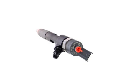 INJECTOR REMANTE 002003001043R 21