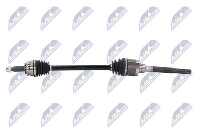 PLANETARA NTY NPWCH044 24