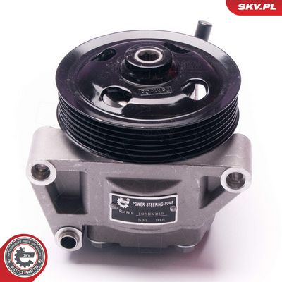 Hydraulické čerpadlo, řízení SKV 10SKV215