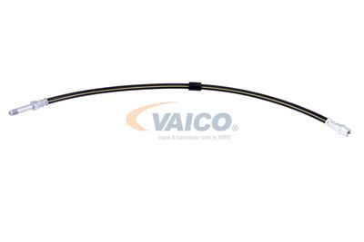 FURTUN FRANA VAICO V300547 12