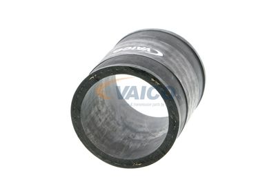 FURTUN EAR SUPRAALIMENTARE VAICO V401362 49