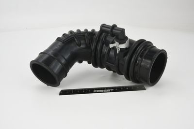 FURTUN ALIMENTARE AER FEBEST 02450001 51