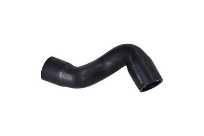 FURTUN EAR SUPRAALIMENTARE