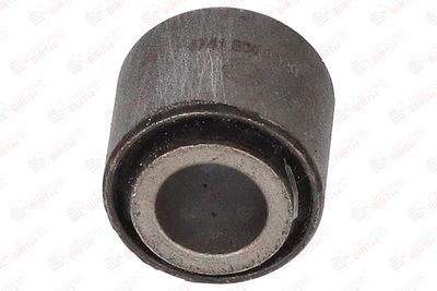 BUCSA ARBORE DE DIRECTIE BIRTH 4741 4