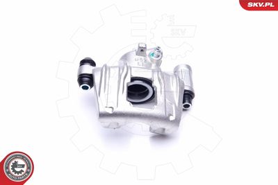 Brake Caliper 45SKV633