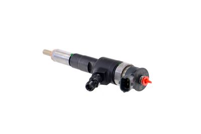 INJECTOR REMANTE 002003001183R 21
