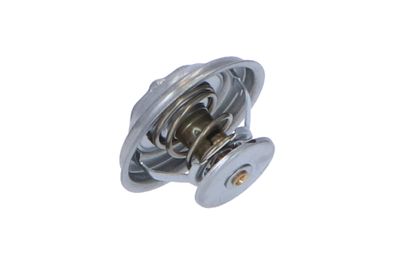 TERMOSTAT LICHID RACIRE NRF 725073 21