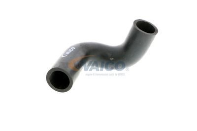 FURTUN AERISIRE CHIULASA VAICO V401784 54