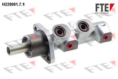 FTE 9220171 Ремкомплект главного тормозного цилиндра  для FIAT PANDA (Фиат Панда)