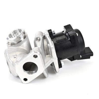 AGR-VENTIL DELPHI EG1040112B1 19