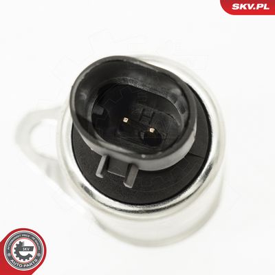 Řídicí ventil, seřízení vačkového hřídele ESEN SKV 39SKV081