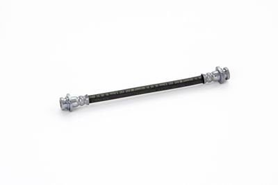 FURTUN FRANA ATE 24520101953 12