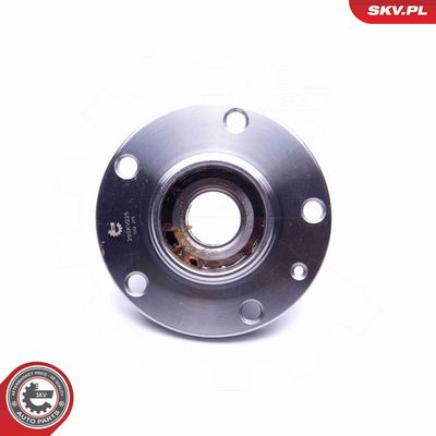 SET RULMENT ROATA ESEN SKV 29SKV225 2