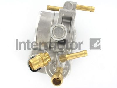 Throttle Body Intermotor 68366