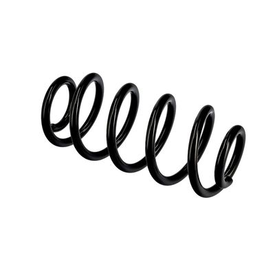 ARC SPIRAL EIBACH R10135 9