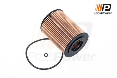 alyvos filtras 1F0081 ProfiPower