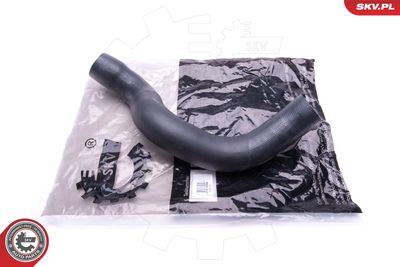 FURTUN EAR SUPRAALIMENTARE