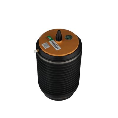 LUFTFEDER FAHRWERK Arnott A3891 56