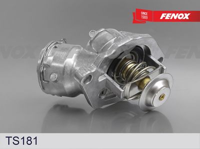 термостат, охладителна течност FENOX TS181