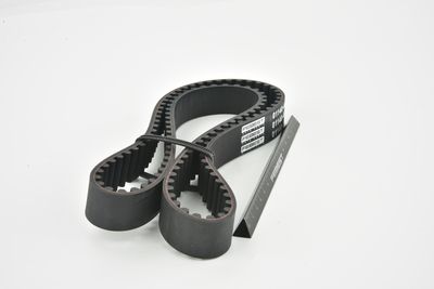 CUREA DE DISTRIBUTIE FEBEST 011404AFE 41