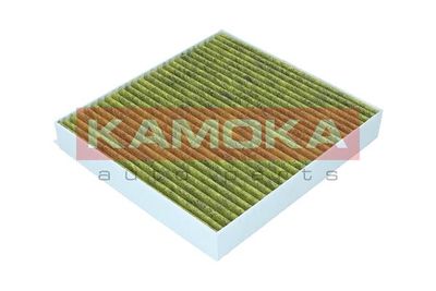 Filter, cabin air 6080114