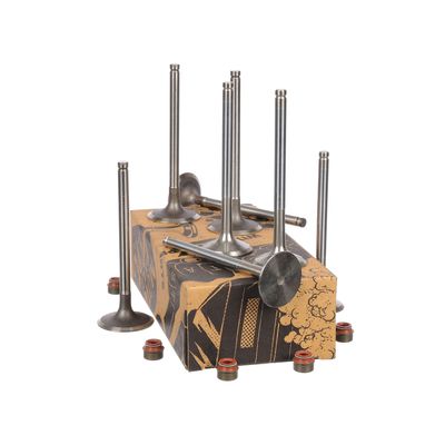 SET SUPAPE SUPAPă ADMISIE/EVACUARE ET ENGINETEAM VS0023VR1 23