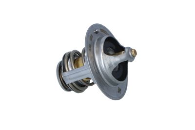 TERMOSTAT LICHID RACIRE NRF 725233 36