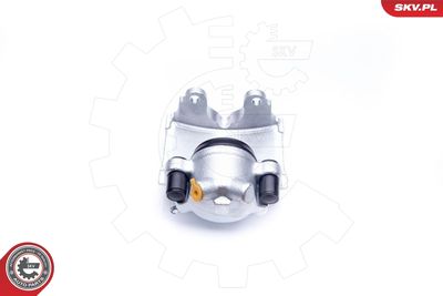 Brake Caliper 34SKV041