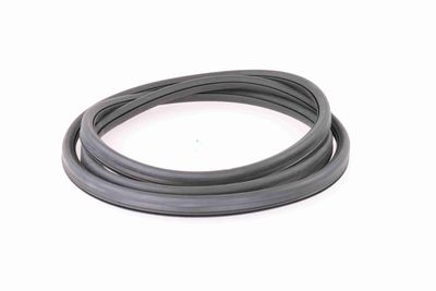 GARNITURA PARBRIZ VAICO V100086 1