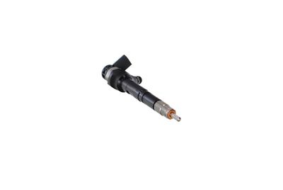 INJECTOR REMANTE 002003001489R 48