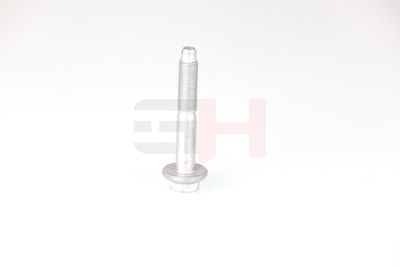 SURUB CAPAT DE AX GH GH392528 22