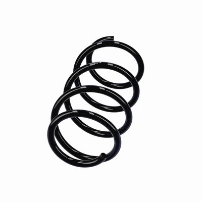 ARC SPIRAL EIBACH R20284 14