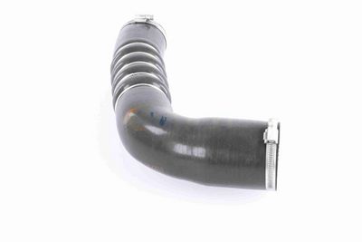 FURTUN EAR SUPRAALIMENTARE VAICO V103794 7
