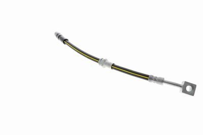 FURTUN FRANA VAICO V404110 11