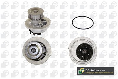 Водяной насос, охлаждение двигателя WILMINK GROUP WG1489484 для DAEWOO REZZO