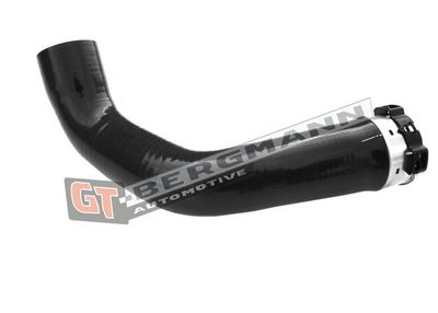 GT-BERGMANN Automotive - Hadica plniaceho vzduchu (hadica turba) DACIA, RENAULT , GT52-357