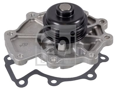 Water Pump, engine cooling 43504