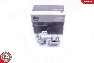 Brake Caliper 34SKV893