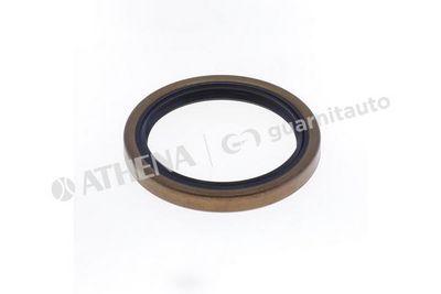 SIMERING ARBORE COTIT