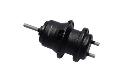SUPORT MOTOR Kavo Parts EEM8013 1