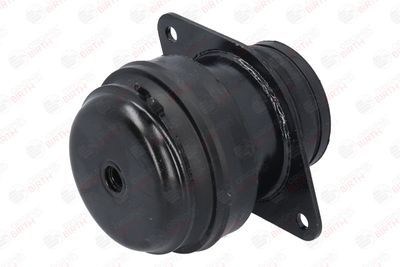 SUPORT MOTOR BIRTH 5476 10