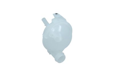 VAS DE EXPANSIUNE RACIRE